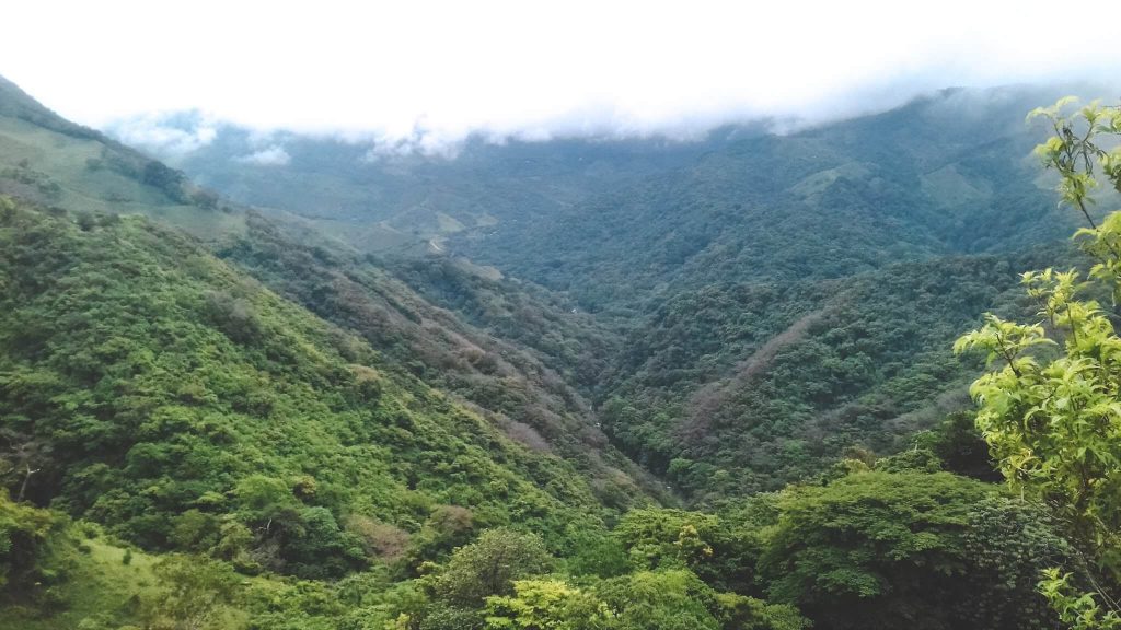 Reserva Florestal de Monteverde