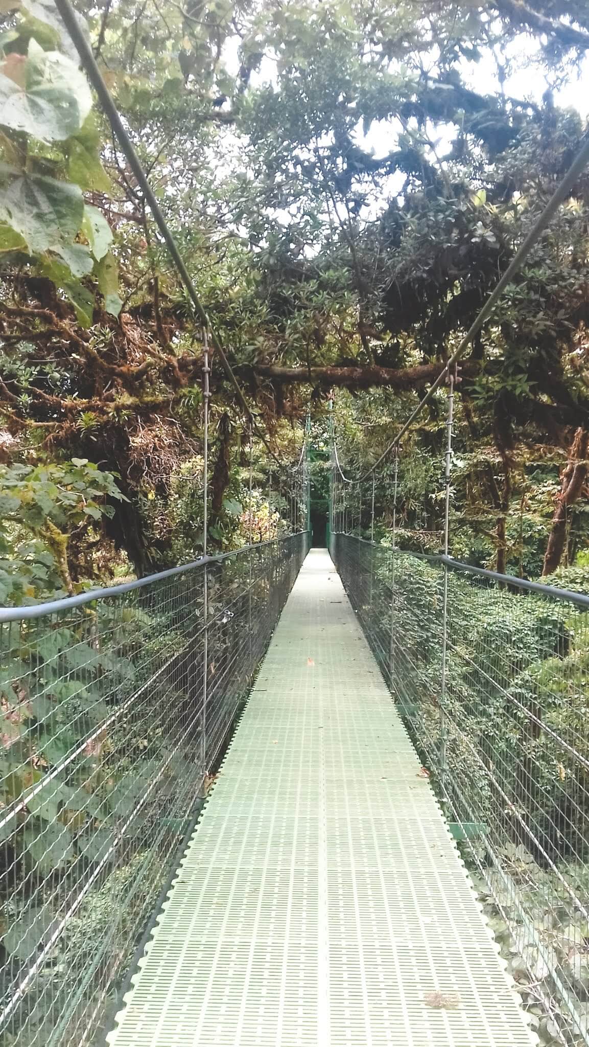 Reserva Florestal de Monteverde