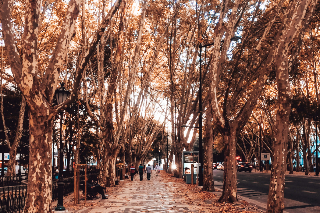 Avenida da Liberdade, em Lisboa durante o outono © lavidaesmara